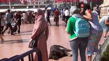 Taksim’de sevdiği köpek tarafından ısırılan turist kadın neye uğradığını şaşırdı