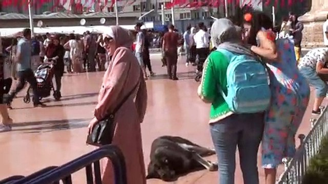 Taksim’de sevdiği köpek tarafından ısırılan turist kadın neye uğradığını şaşırdı
