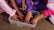 Learn Colours - Play Time With Jelly And Colourful Blankets - Learn Colours With The CC Kids