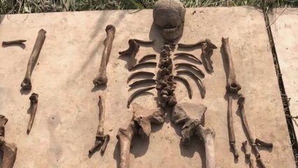 Sans frontières - Napoléon, les secrets de la campagne de Russie