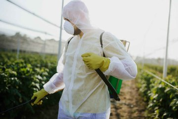 ¿Cómo hacer un herbicida natural con vinagre blanco?