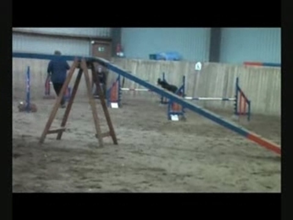 Bliss jumping 65 and 55 cm