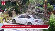 Kadıköy'de ağaç aracın üzerine devrildi