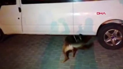 Van 'kara', minibüsün zulasındaki 50 kilo eroini buldu