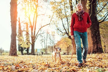 Bien réussir la promenade de votre chien