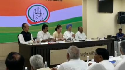Sonia slams govt over slowdown, alleges vendetta politics