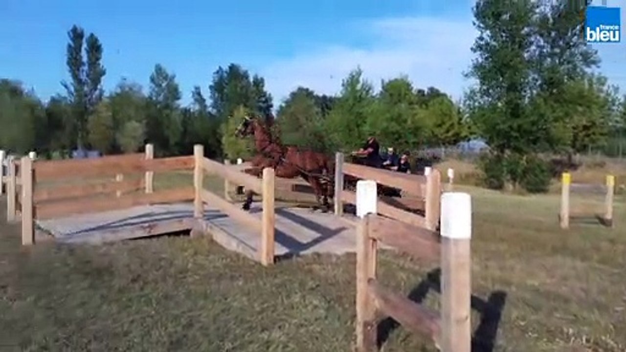 Jean-Bernard Catella teste l'attelage sportif à Alixan pour France Bleu Drôme Ardèche