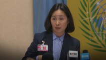 Billionaire Pansy Ho tells UN human rights body she feels repressed by Hong Kong protests
