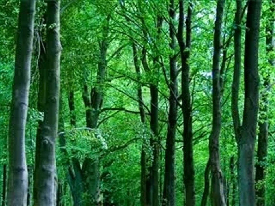 www.GreenItRight.com