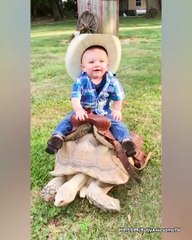 Funny Baby and Animals at the Zoo - Funny Baby Fails Video