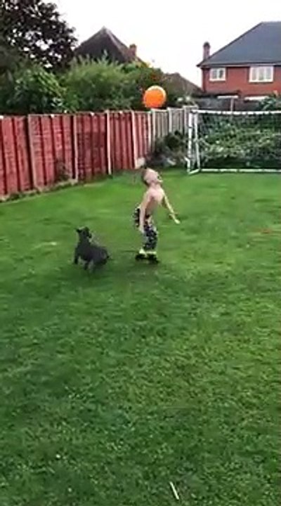 Un chien et un enfant joue à garder le ballon e...