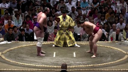 Tochinoshin vs Abi - Aki 2019, Makuuchi - Day 4