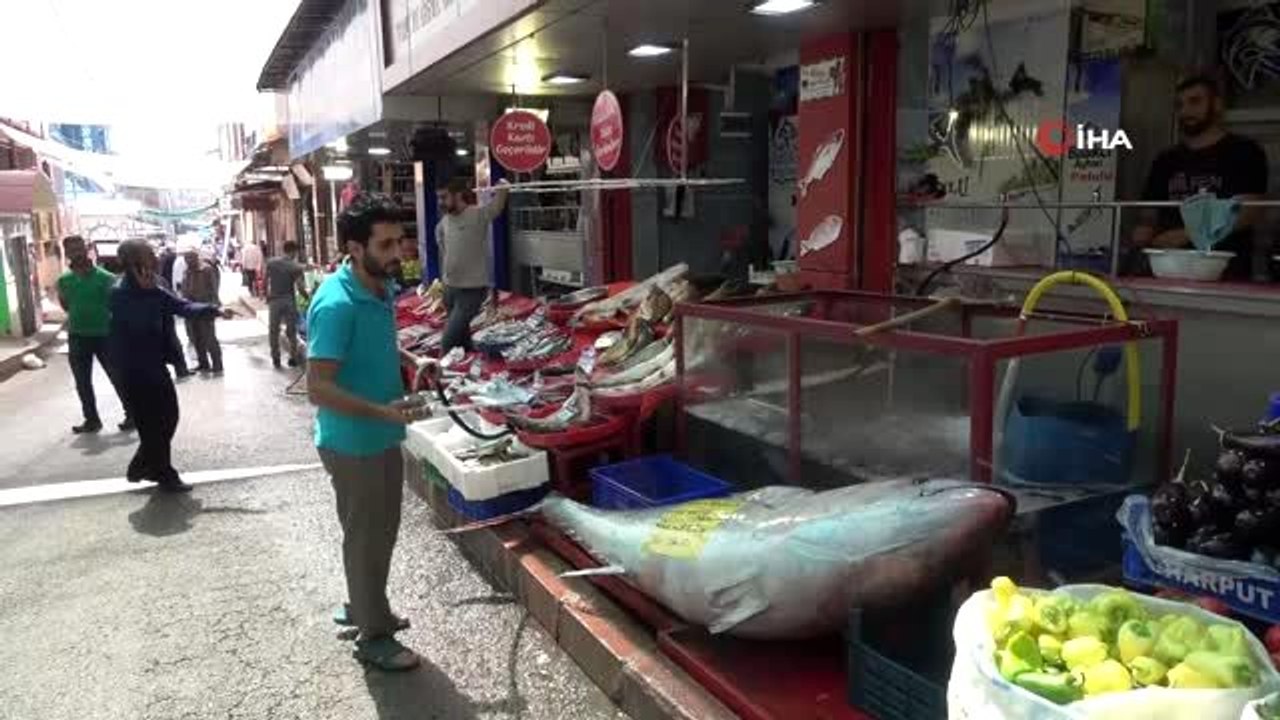 Dev orkinos bu kez Elazığ'da