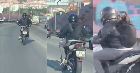 Motociclista transporta o seu cão à patrão em plena IC19