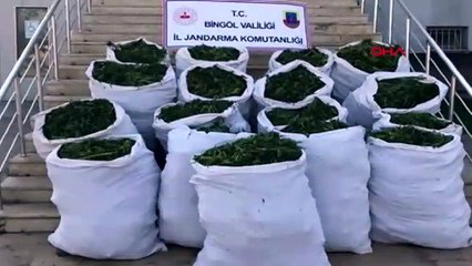 Bingöl’de 2 ton 700 kilo esrar ele geçirildi