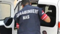 Farmaci antitumorali rubati in ospedali e spediti all'Estero: 14 arresti (12.09.19)