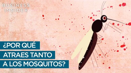 ¿Por qué atraes tanto a los mosquitos?