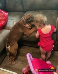 Bébé ou Chien : qui montera sur le canapé en premier ?