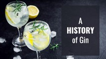 Gin - History of gin