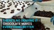 Chocolate - Sweet facts about your favourite food
