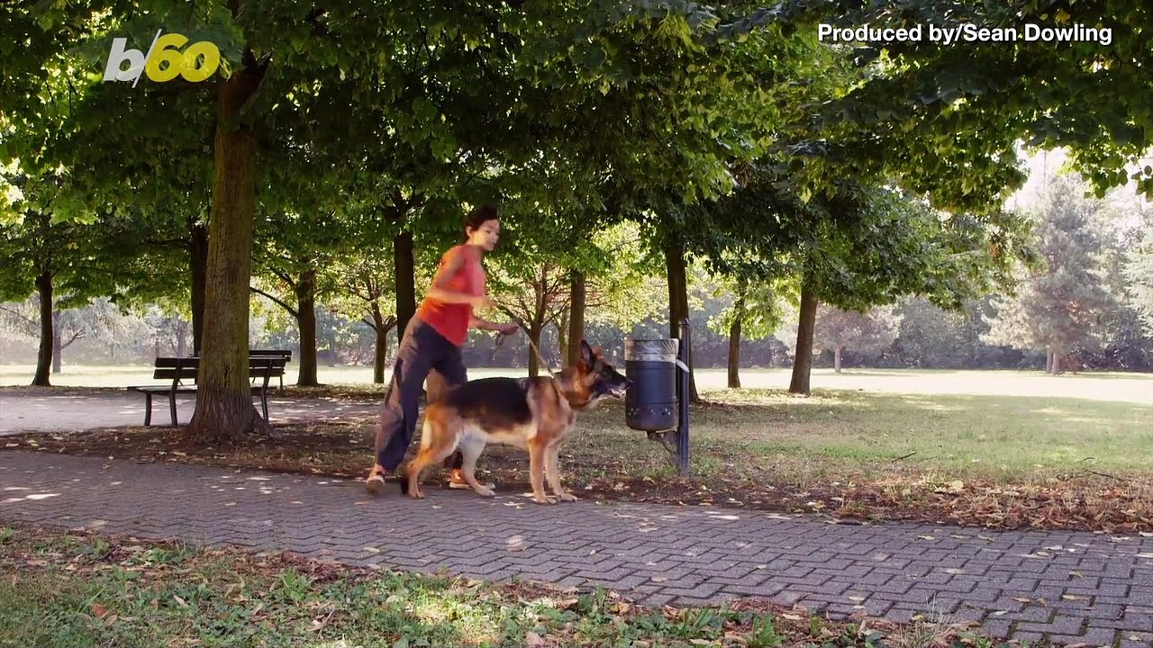 Dog Walker Scoops up What Could be a Meteorite