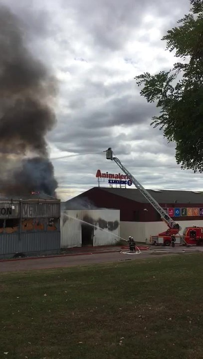 Un spectaculaire incendie ravage le magasin d’a...