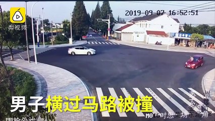 Un chiot est plus prudent qu’un piéton pour traverser une rue en Chine