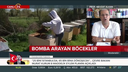 Suçla mücadelede böcekler nasıl kullanılıyor?