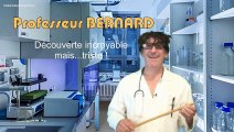 Professeur BERNARD - Découverte incroyable mais triste :-(