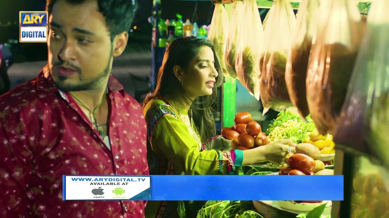 Gul-o-Gulzar Ep 14