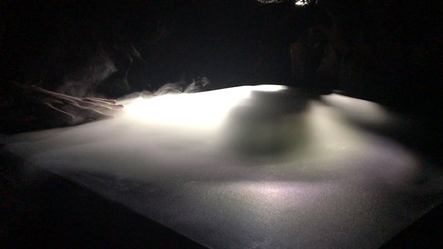 Les expos de Scopitone