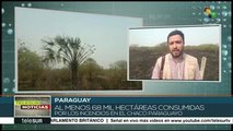 Nuevos focos de incendio se registran en el Pantanal paraguayo