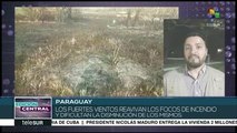 Paraguay: se reavivan los incendios en el Pantanal