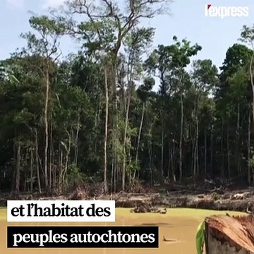 L'exploitation de l'or et du pétrole, autre péril pour l'Amazonie