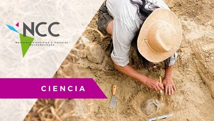 Científicos revelan mar prehistórico en pastizales argentinos