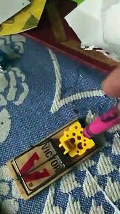 S'amuser avec une tapette à souris