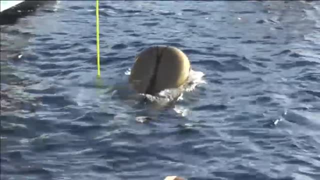 El mundial de apnea deja imágenes y gestas difíciles de creer para el ser humano