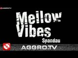 MELLOW VIBES 'RAP CITY BERLIN DVD1' (OFFICIAL HD VERSION AGGROTV)