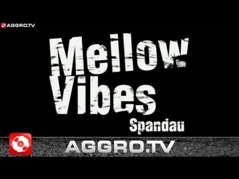 MELLOW VIBES 'RAP CITY BERLIN DVD1' (OFFICIAL HD VERSION AGGROTV)