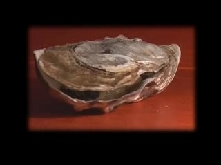 Voeux nouvelle année