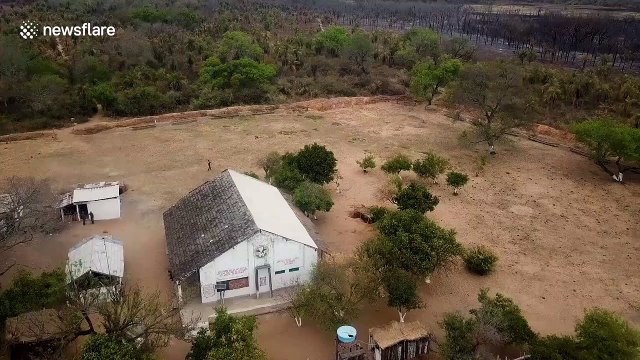 Raging forest fires devastate Bolivia’s newest conservation area Nembi Guasu