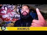 ANIMUS - BAREKNUCKLE - HALT DIE FRESSE NR. 361 (OFFICIAL HD VERSION AGGROTV)