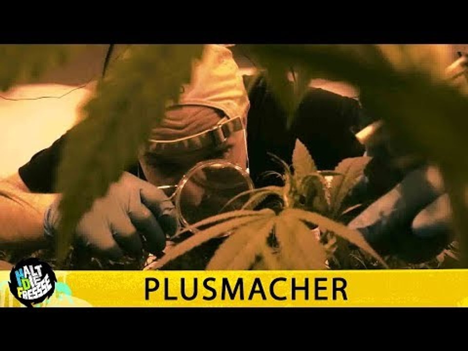PLUSMACHER - GOLDBREULER STYLE - HALT DIE FRESSE 407 (OFFICIAL HD VERSION AGGROTV)