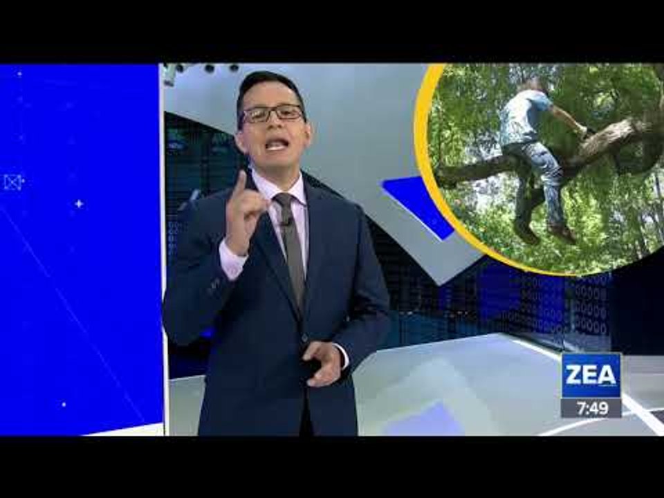 ¿Cuántos mexicanos han sufrido trabas para poner un negocio? | Francisco Zea