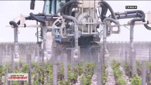 Pesticides : Consultation citoyenne par ordinateurs interposés