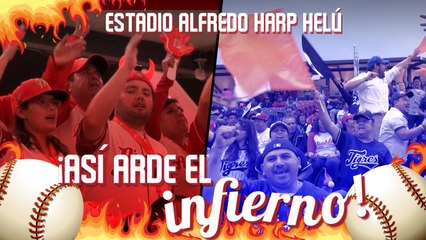 Asi se vive un partido de beisbol l La Aficion