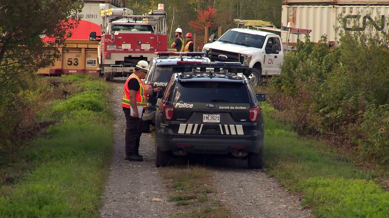 Un passager clandestin dans un train arrêté à Rivière-Bleue