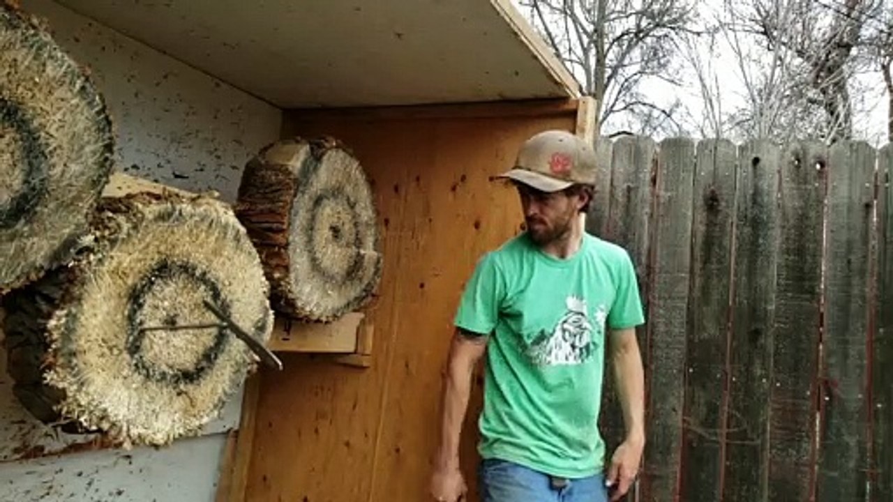 Catching a Throwing Knife Mid Air