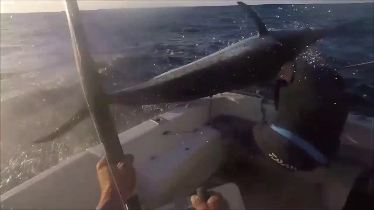 Ce pecheur a faillit se faire embrocher par un marlin... Chanceux