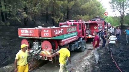 Kazdağları'nda orman yangını